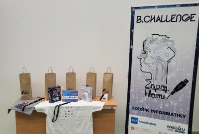 Bobřík informatiky - ústřední kolo