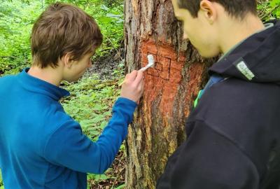 Turistický kód: Jak se značí trasy KČT (jaro 2025)