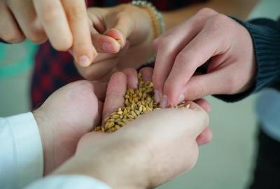 Aula, odborné učebny, laboratoře a školní minipivovar
